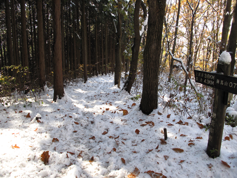 20161125hike (246)